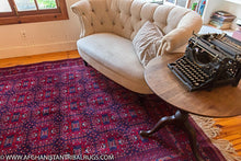 Load image into Gallery viewer, Bokhara Afghan Rug designed by Patnosi