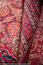 Load image into Gallery viewer, Bokhara Afghan Rug designed by Bakhtiari