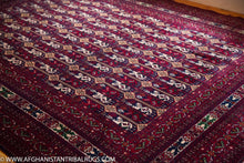 Load image into Gallery viewer, Royal Bokhara Afghan Rug (Large) designed by Shotori Bagmal